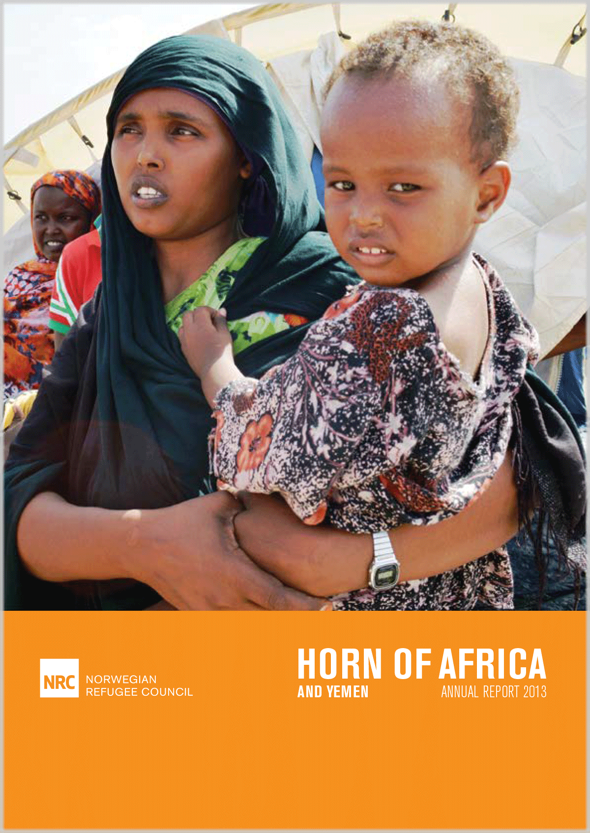 NRC Horn of Africa Annual report 2013 | NRC