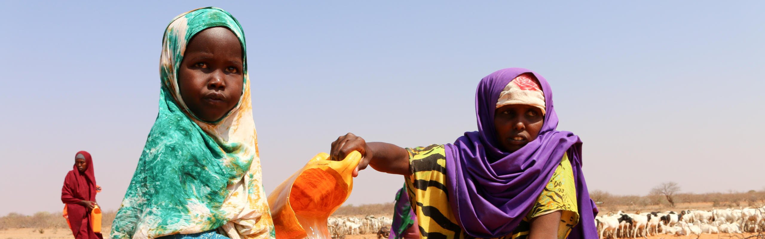 Over 3,000 people a day fleeing drought in Somalia | NRC