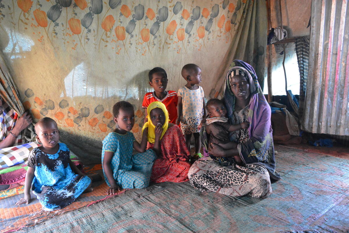 700,000 people flee conflict to seek safety in Somali region of ...